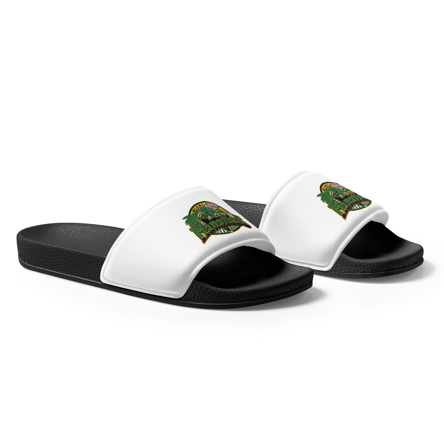 Miami Manatees Hockey WHA Men’s slides